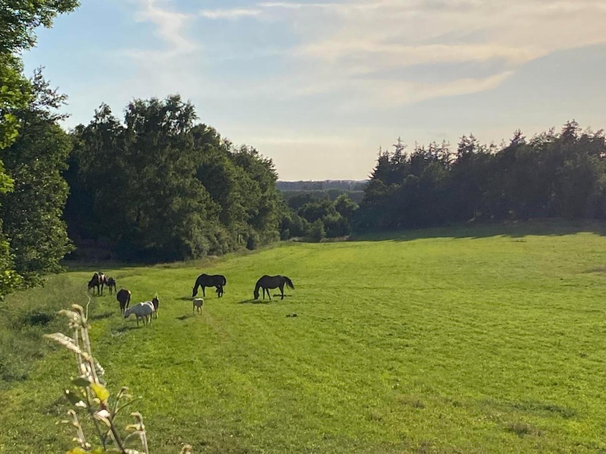 Vila Bondehus - Dansk Bondehus Med Patina Sindal Exteriér fotografie